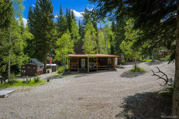 12123 County Rd 313, New Castle, CO 81647