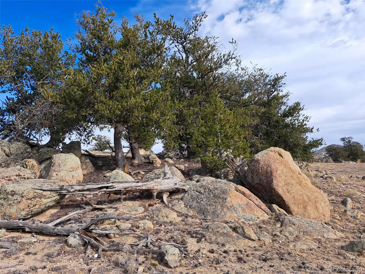 1282 Ute Trace, Hartsel, CO 80449 - Image #1