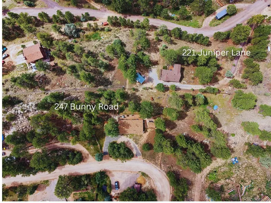 247 Bunny Road, Bailey, CO 80421 - #2
