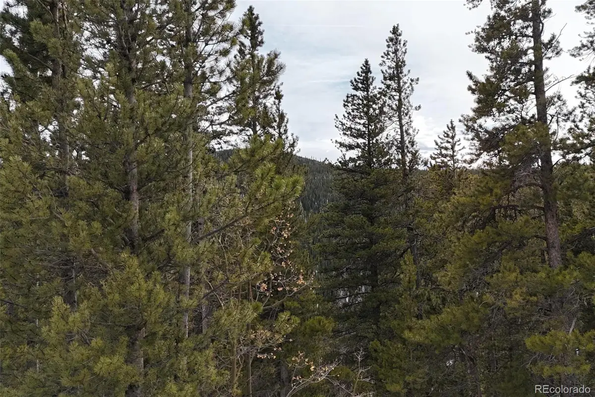 649 Vista Road, Idaho Springs, CO 80452 - #1