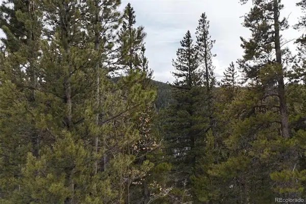 649 Vista Road, Idaho Springs, CO 80452