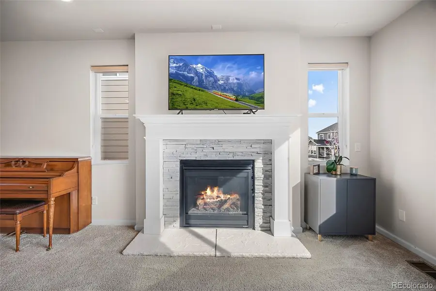 5268 Coltin Trail, Castle Rock, CO 80104 - #2