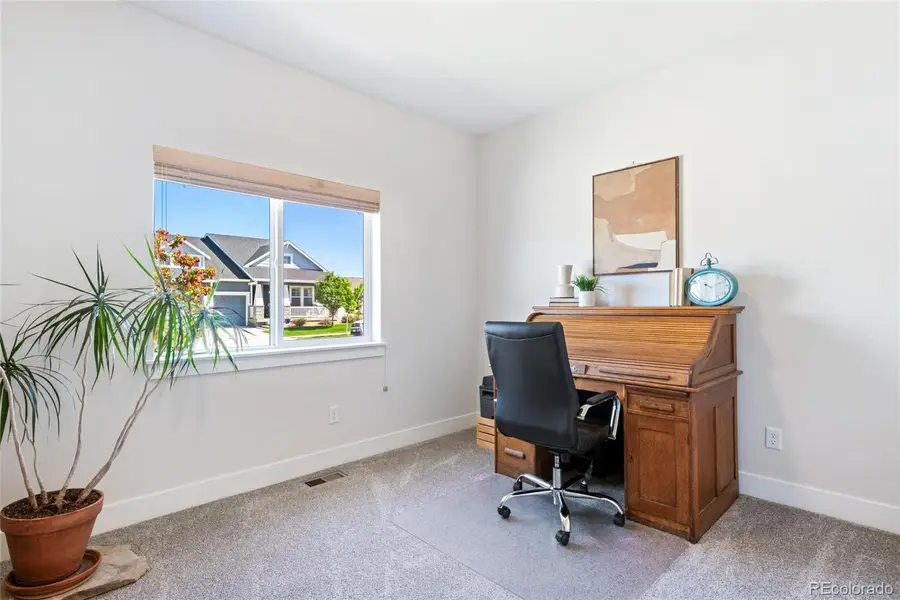 1631 Kit Street, Windsor, CO 80550 - #3