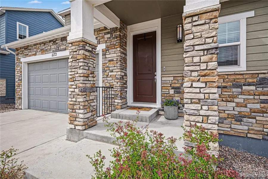 1172 Basalt Ridge Loop, Castle Rock, CO 80108 - #2