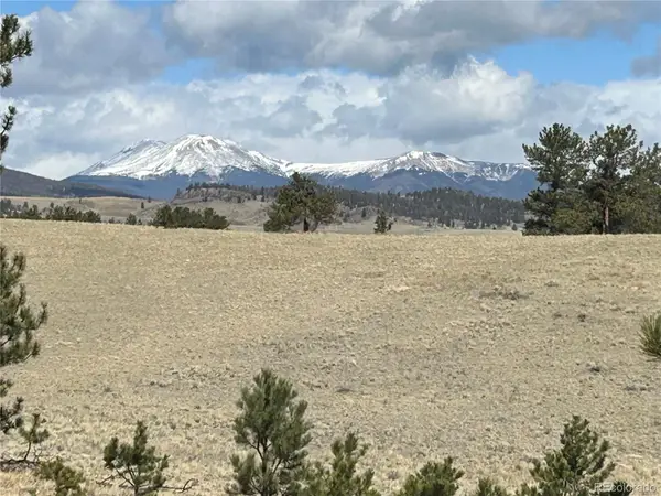 517 Brahma Circle, Hartsel, CO 80449