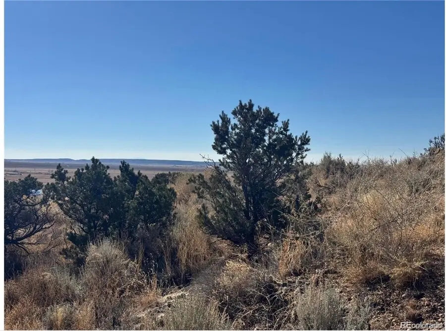Lot 2446 Zuni Road, Fort Garland, CO 81133 - #3