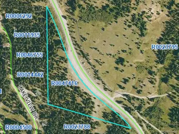 58969 Highway 9, Alma, CO 80420