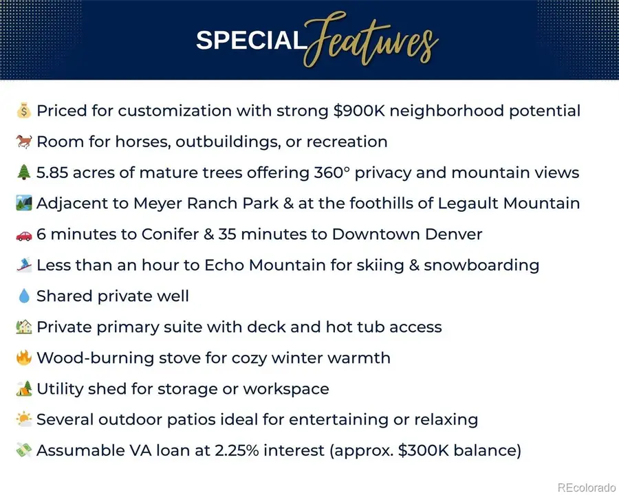 10142 S Turkey Creek Road, Morrison, CO 80465 - Image #3