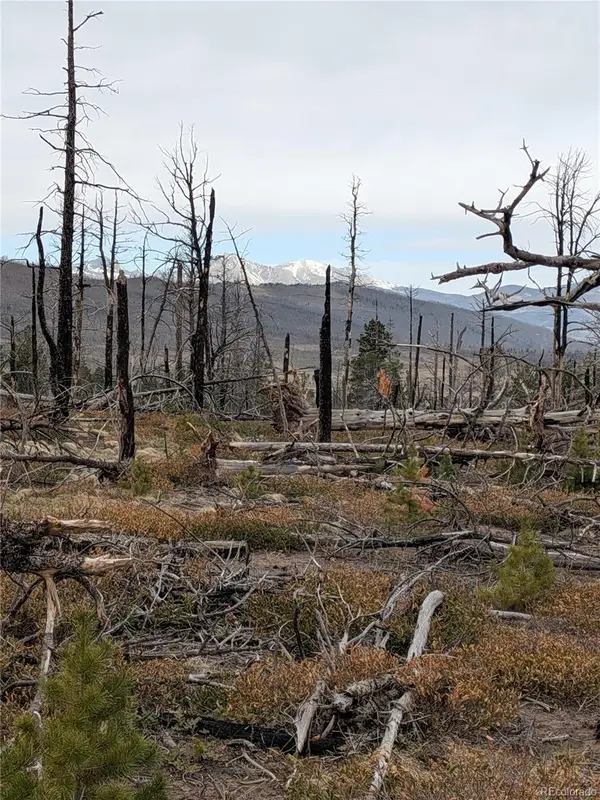 Lot 2301 Wohlstetter Loop, Fort Garland, CO 81133
