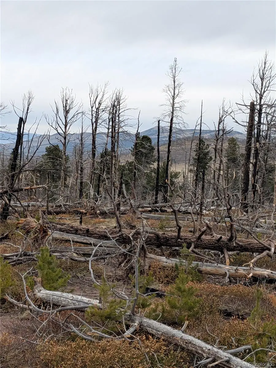 Lot 2301 Wohlstetter Loop, Fort Garland, CO 81133 - #2
