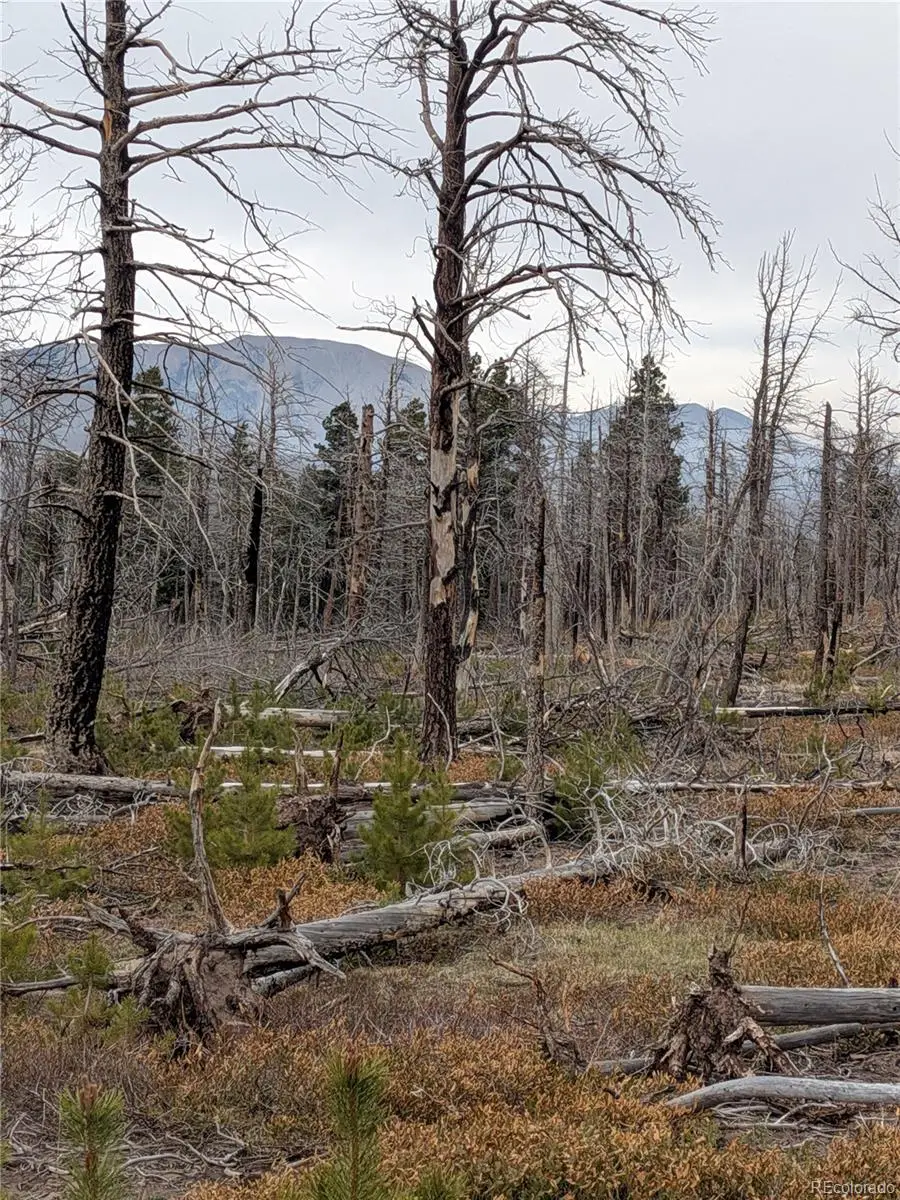 Lot 2301 Wohlstetter Loop, Fort Garland, CO 81133 - #3