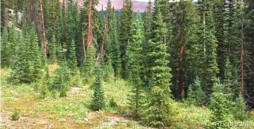 111 Bonnie Bell, Gunnison, CO 81231 - Image #2