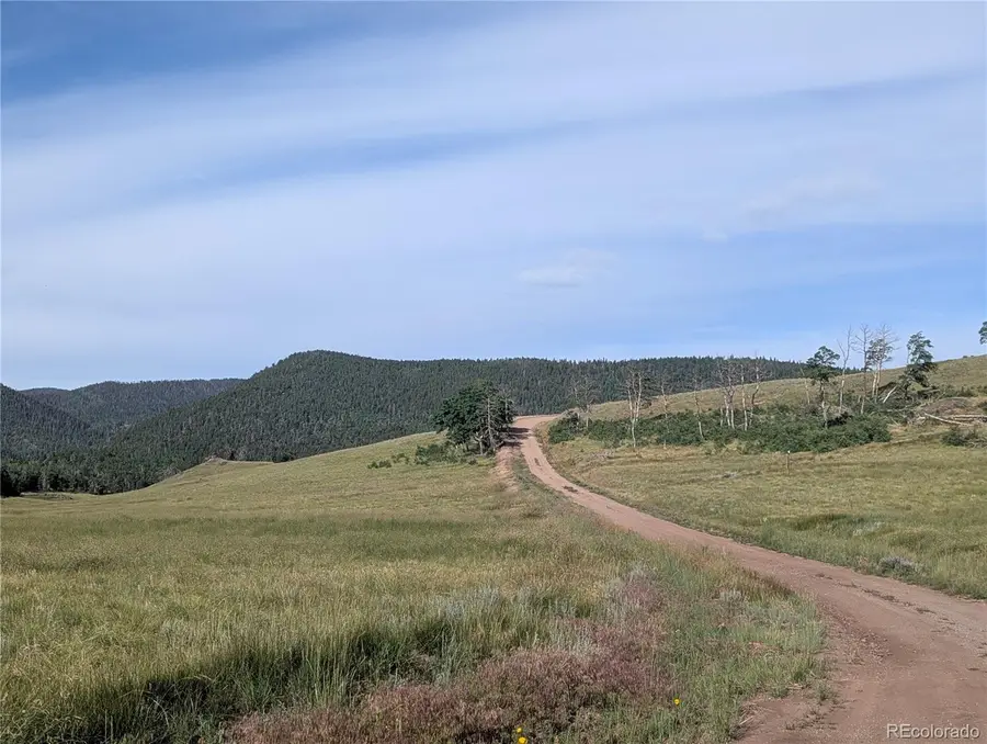 904 Ueda Place, Fort Garland, CO 81133 - Image #3