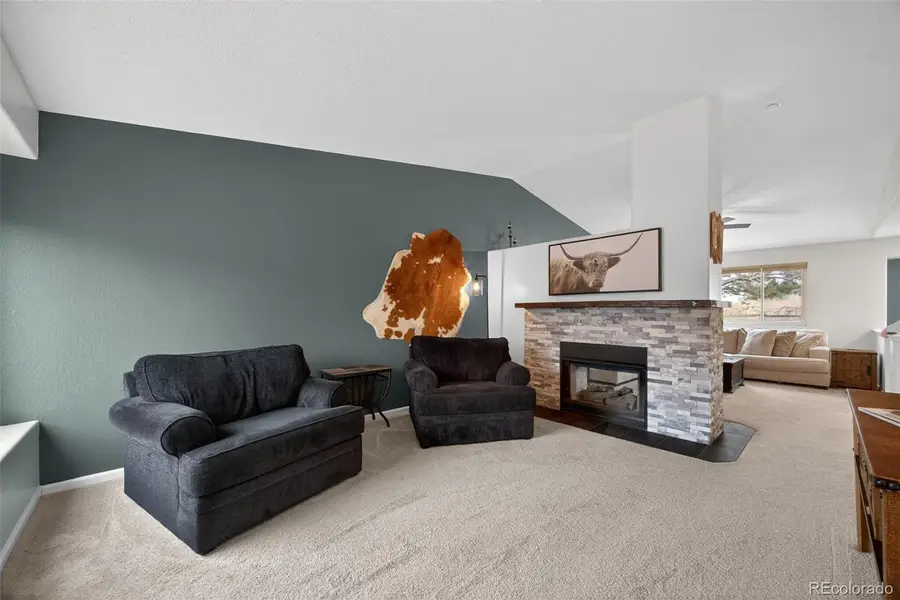 11306 Rodeo Circle, Parker, CO 80138 - #3