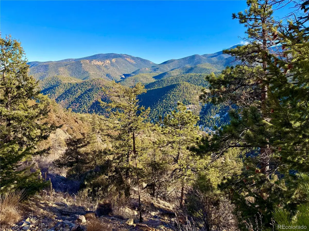 1961 Fools Gold Road, Idaho Springs, CO 80452 - #1
