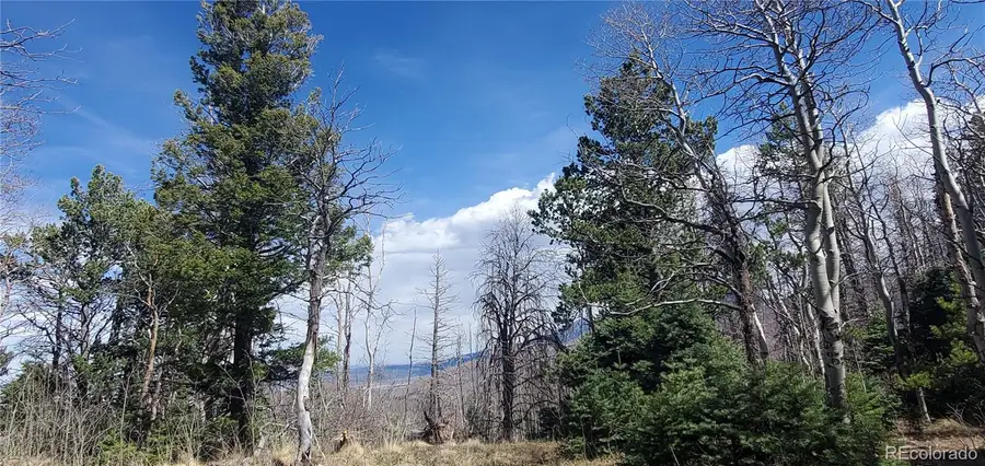 Lot 2560 Grojean Drive, Fort Garland, CO 81133 - #3