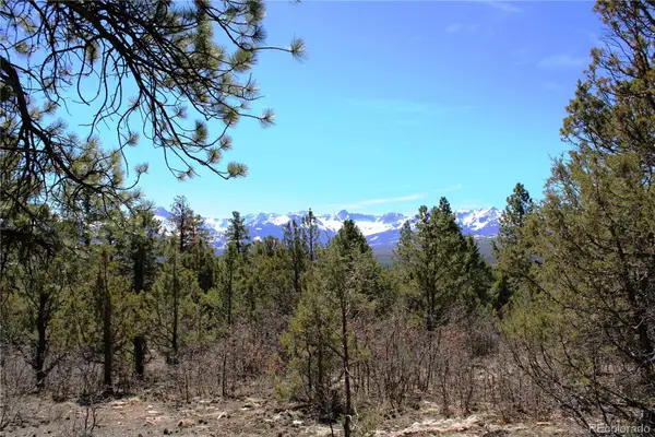 000 Old Relay Road, Ridgway, CO 81432