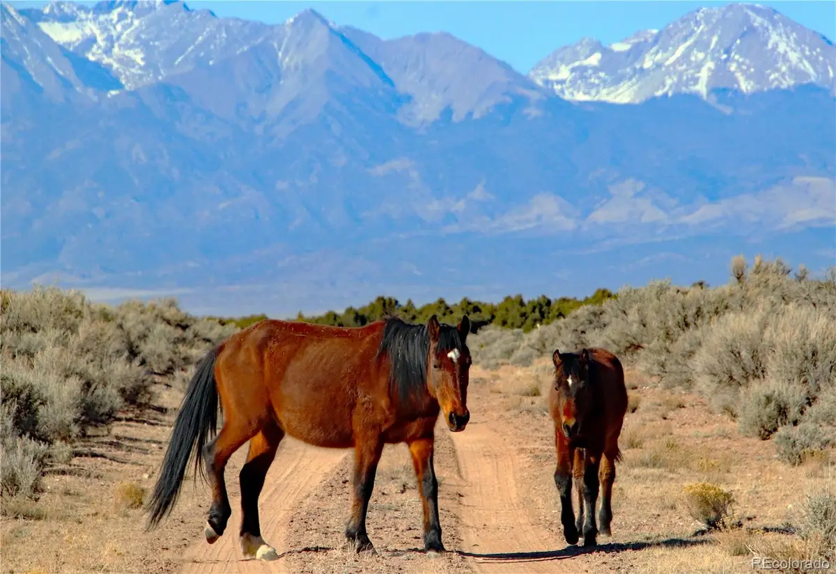 Parcel 40 Alta Mesa Drive, San Luis, CO 81152 - #1