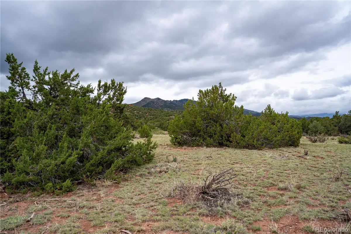 4 Lot Iron Handle Road, Penrose, CO 81240 - #1