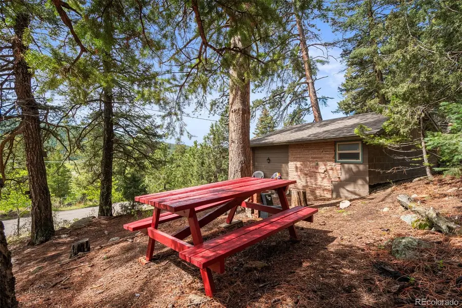 25845 Wilkerson Road, Conifer, CO 80433 - #2