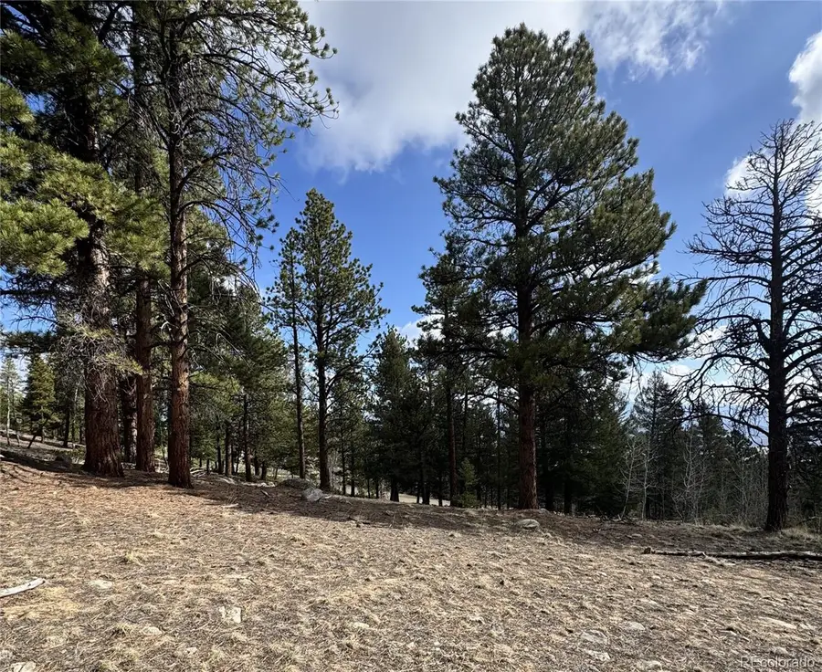 30317 Aspen Turn, Buena Vista, CO 81211 - #2