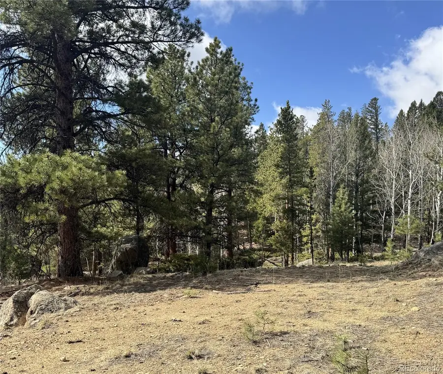 30317 Aspen Turn, Buena Vista, CO 81211 - #3