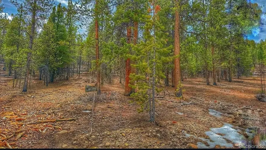 66 Mount Massive Road, Twin Lakes, CO 81251 - #3