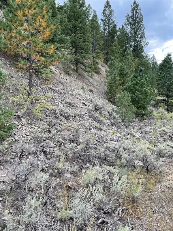 1577 Mears Lane, Salida, CO 81201