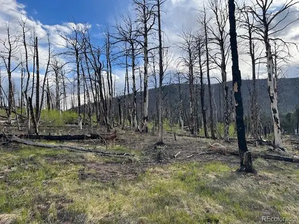 Lot 2248 Buonaventura Lane, Fort Garland, CO 81133
