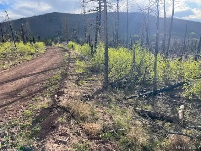 Lot 2248 Buonaventura Lane, Fort Garland, CO 81133 - #2