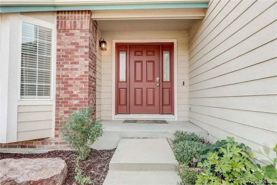 226 Chelsea Street, Castle Rock, CO 80104 - #3