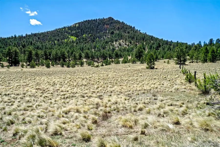 0 Roan Trail, Guffey, CO 80820 - #2