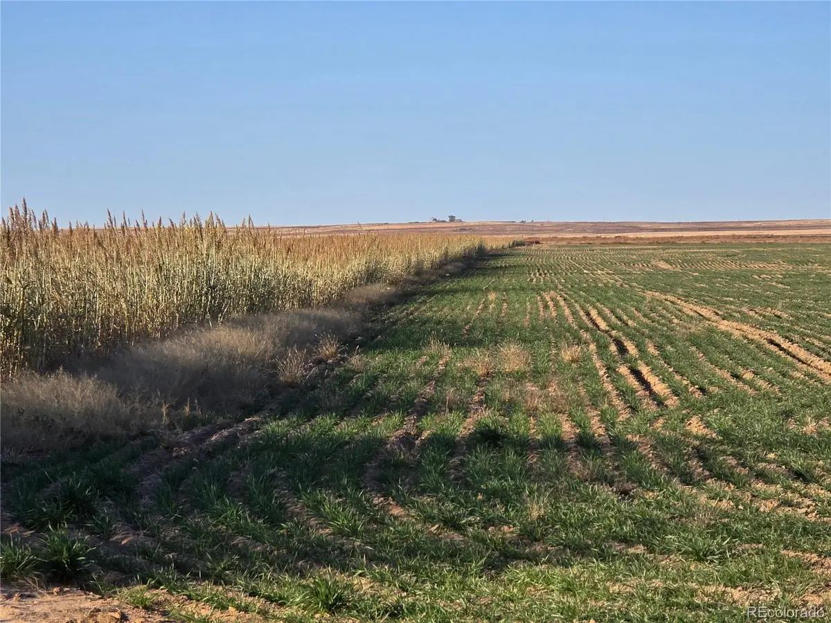 0 Cr K, Haswell, CO 81045 - Image #1