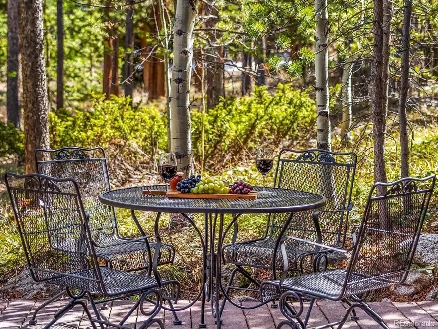 1793 Falcon Drive, Silverthorne, CO 80498 - #2