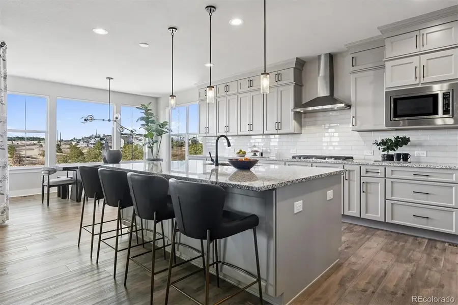 3461 Vamoose Court, Castle Rock, CO 80108 - Image #2