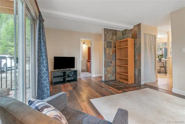 110 Now Colorado Court #E8, Breckenridge, CO 80424
