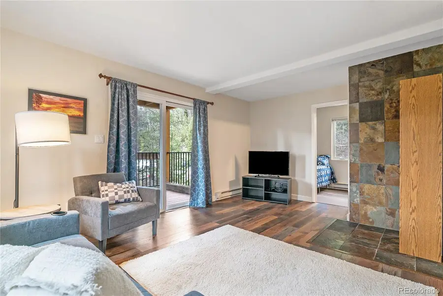 110 Now Colorado Court #E8, Breckenridge, CO 80424 - #2