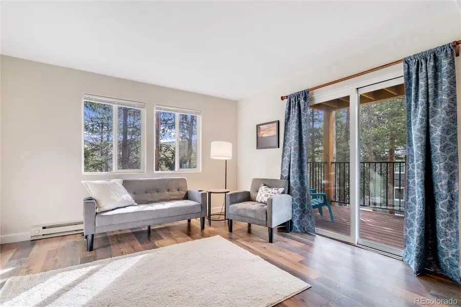 110 Now Colorado Court #E8, Breckenridge, CO 80424 - #3