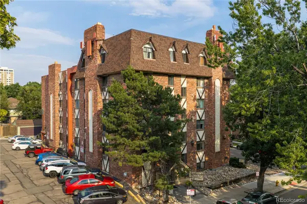 1008 N Corona Street #303, Denver, CO 80218