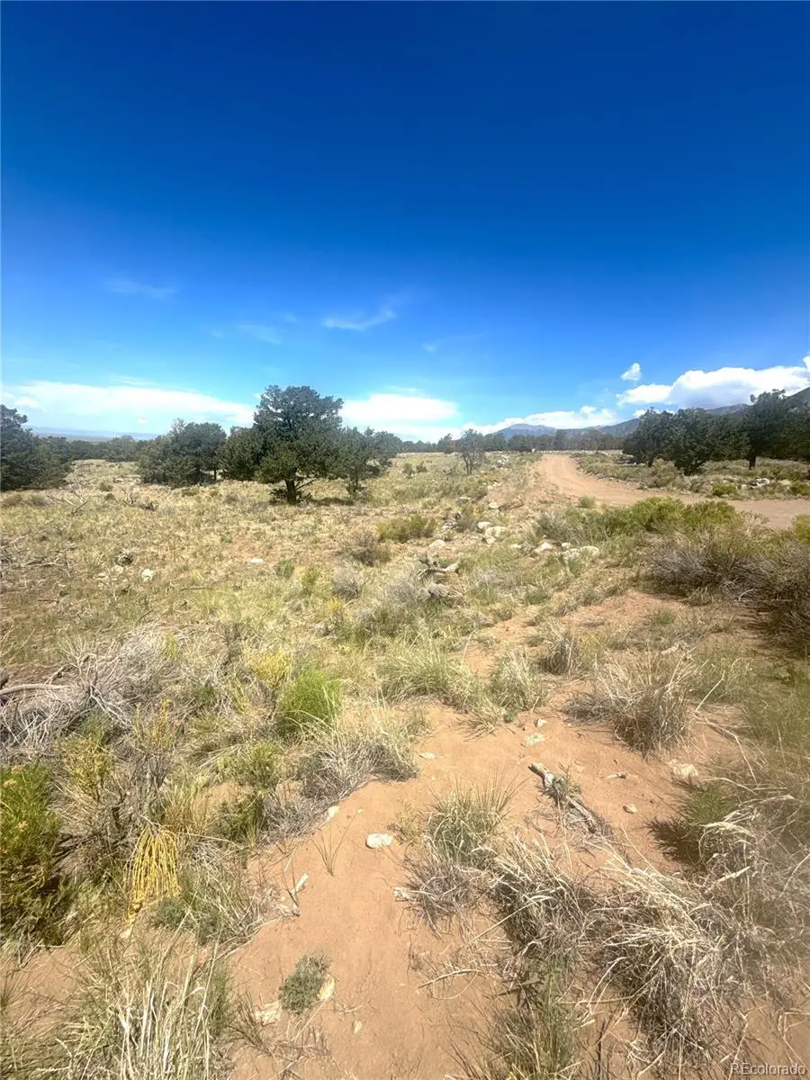 4472 Greenview Court, Crestone, CO 81131 - #1