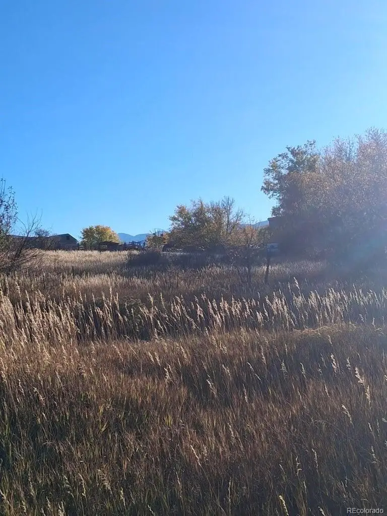 E Grand, La Veta, CO 81055 - #3