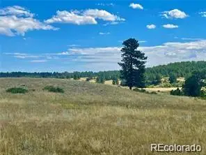 11726 Cr 102, Elbert, CO 80116 - #1