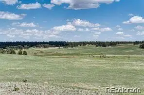 11726 Cr 102, Elbert, CO 80116 - #2