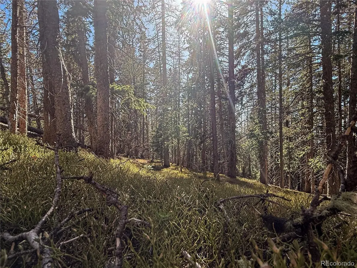 LOT 6530 Schluetter Road, Fort Garland, CO 81133 - #1