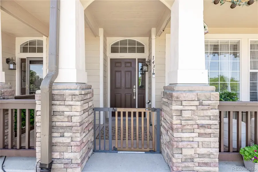 1431 Turnberry Drive, Castle Rock, CO 80104 - #2
