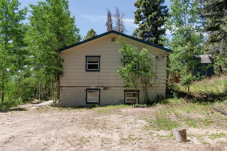 11682 Baca Road, Conifer, CO 80433 - #2