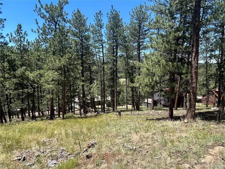 0 Pine Pine, Evergreen, CO 80439 - #2