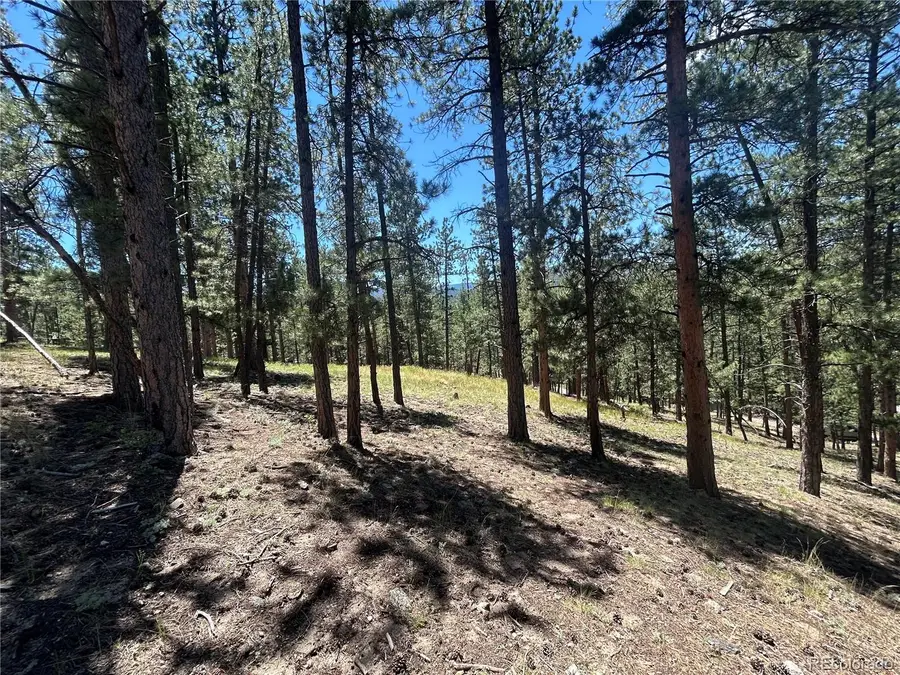 0 Pine Pine, Evergreen, CO 80439 - #3