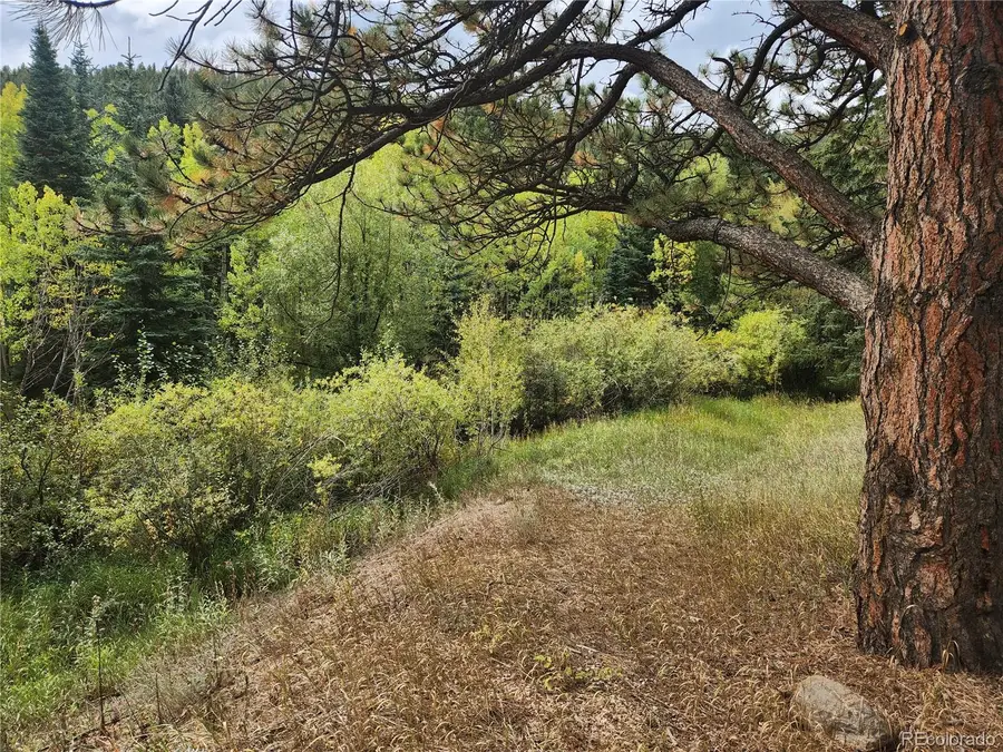 531 Caribou Road, Nederland, CO 80466 - #2