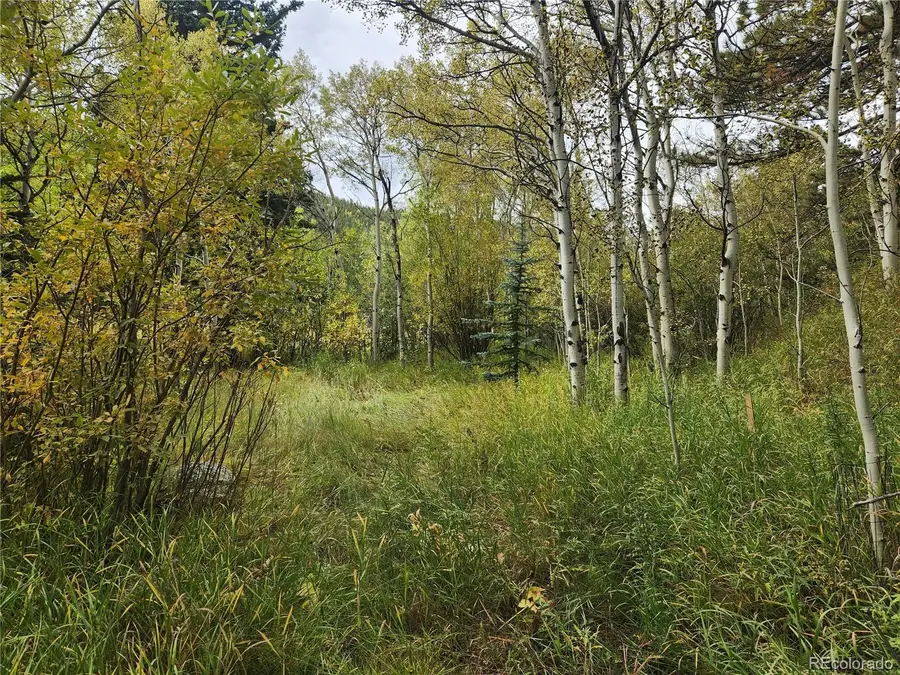 531 Caribou Road, Nederland, CO 80466 - #3